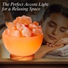 Himalayan Glow Pink Salt Bowl Night Lamp with Crystal Himalayan