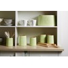 Premier Housewares Tea Canister, Container, Dolomite - Green