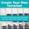 Creativity for Kids Grow 'N Glow Terrarium Kit - Educational