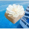 Biodegradable Water Burial Urn Kit - Cruise Approved | Ocean