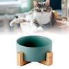 Ceramic Dog Cat Bowl Multipurpose Large Capacity Pet Bowl with