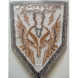 VINTAGE | C.O.D. Advanced Warfare Sentinel Task Force Patch Iron On - EXCLUSIVE