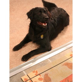 M-D Building Products 08003 3-3/4 in. x 1-1/8 in. x 32 in. Silver Aluminum and Vinyl Heavy-Duty High-Profile Threshold