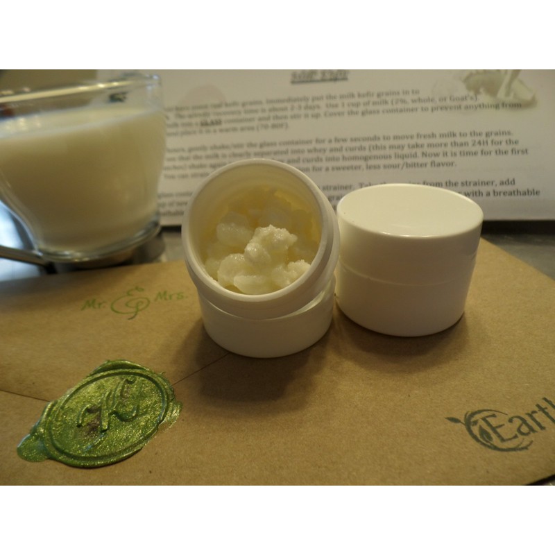 Milk Kefir Grains Mr & Mrs Kefir Active Fresh Genuine