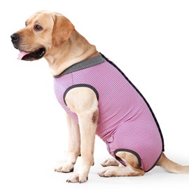 HEYWEAN Dog Bodysuit After Surgery Castration Wound Protection Suits for Dogs, Professional Pet Recovery Suit Dog Medical Shirt, Body Suit After Surgery Dog Pet Surgical Suit for Dogs