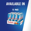Red Bull Sugar Free Energy Drink with 189mg Caffeine plus
