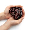Indenya Inden Coin Purse, Coin Case, Deer Leather, Lacquer, Crafts