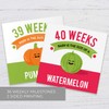 Maternity Weekly Milestone Photo Props / 9" x 9" Modern