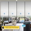 WiFi DIY Smart Motorized Chain Roller Blinds Shade Shutter Drive