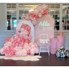 JZCZOEB 181Pcs Coquette Pink Bow Balloons Arch Garland Kit with