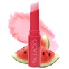 Palladio Exfoliante Labial Hidratante con Sandía, Coco y Vitamina E