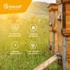 Beecraft Gelée Royale Kapseln mit Manuka-Honig und Vitamin C, 60