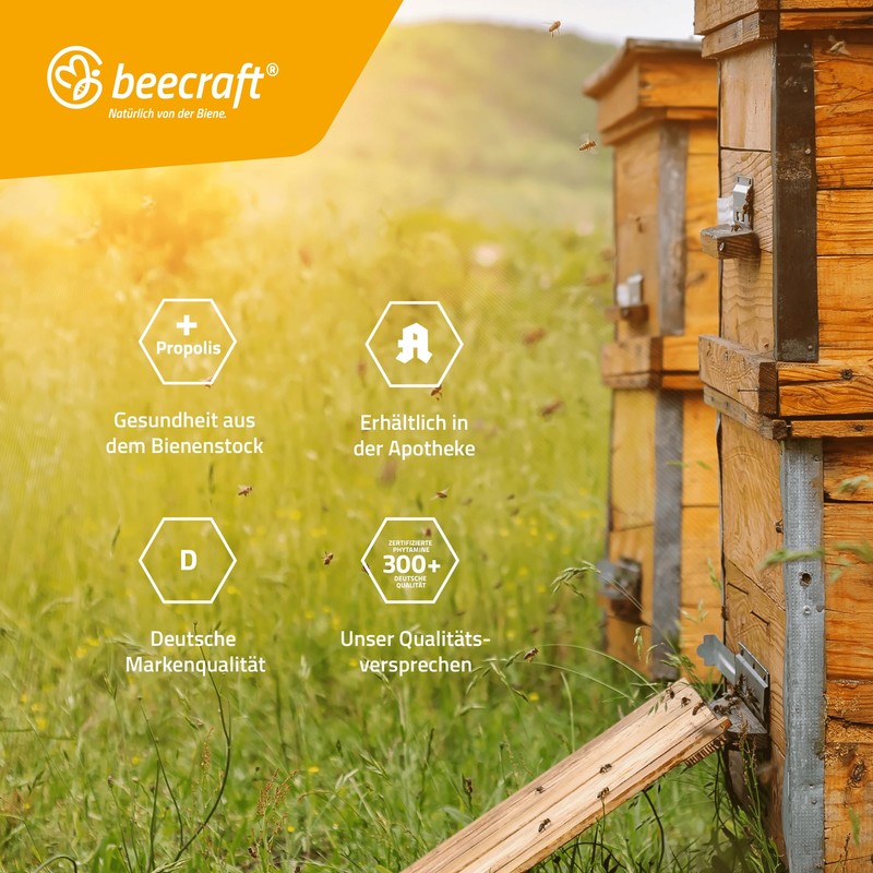 Beecraft Gelée Royale Kapseln mit Manuka-Honig und Vitamin C, 60