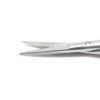 Castroviejo Straight & Curved Scissors Sharp/Sharp 4.5" Micro Stainless Steel