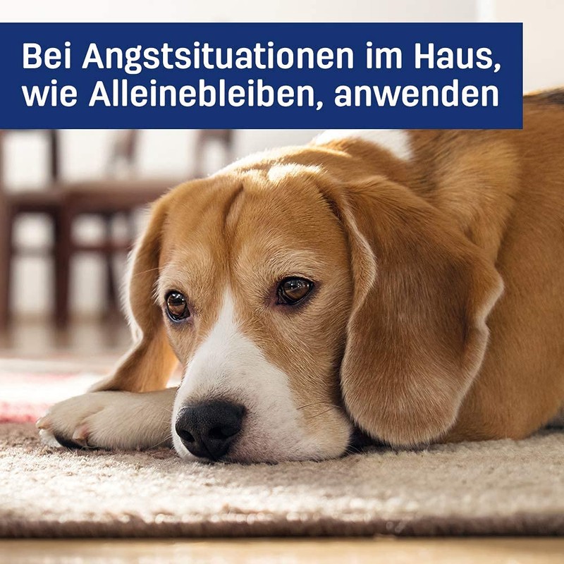 3 PACK ADAPTIL (D.A.P.) Dog Appeasing Pheromone REFILL (144mL)