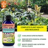 Gardenera Professional Olive Tree Superfood Spray Mist for Home Gardening