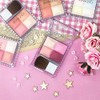 Cezanne Mix Color Cheek Blush Multi-color Made in Japan (01)
