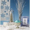 Design Master 840 Snow Blast Spray, White, 32.48" Height