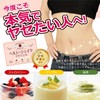 ヘルシーシェイクでダイエット 12食（3種の味） 置き換えダイエット ダイエットシェイク スムージー