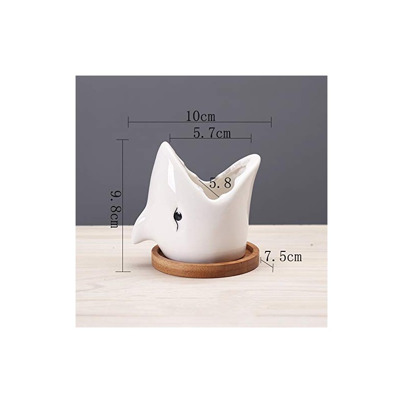 SJBAG Ceramic Animal Shark Shaped Flower Pot - Unique and