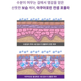 Partner company [Newly launched] Éclat Dutin Ampoule Serum Hydra Intensive Serum 50ml Quick-drying moisture solid / [신규입점]에끌라뒤땅 앰플 세럼 하이드라 인텐시브 세럼 50ml 속건조 수분 고체