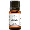 Clove Organic Essential Oil - MY COSMETIK - 5 ml