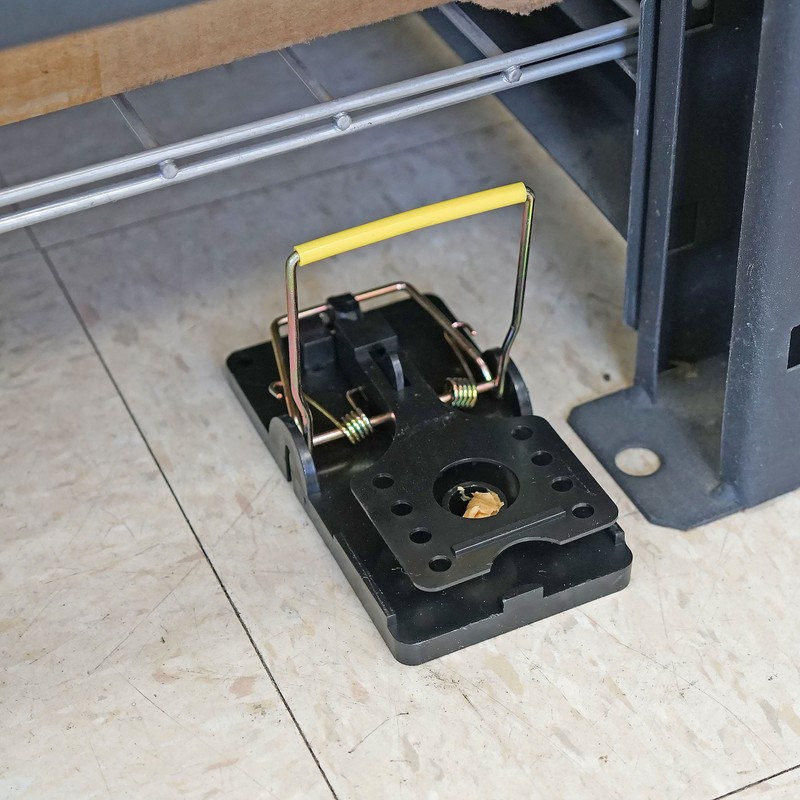 Easy Set Snap Rat & Mouse Traps with Bait Cups,