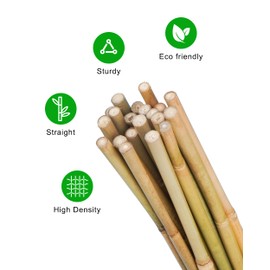 2ft Natural Bamboo Plant Stakes for Tomatoes, Beans, Flowers, Potted, Climbing Plants 25pcs