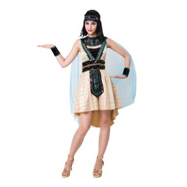 Bristol Novelty AF066 Egyptian Queen Costume, Women, Multi-Colour, One Size