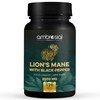 Ambrosial Lion's Mane with Black Pepper - 2000 mg -