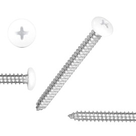 White Head 100 PCS #8x2 Stainless Steel Phillips Pan Head Wood Screws,White Coated Screws Covers Head Wood Screws,Stainless Steel 18-8 A2(304) Screw,Home Screw Kit by QISHENG