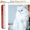 Cat Comb, 7 inch, Ferrari Red - Silky Smooth Rotating