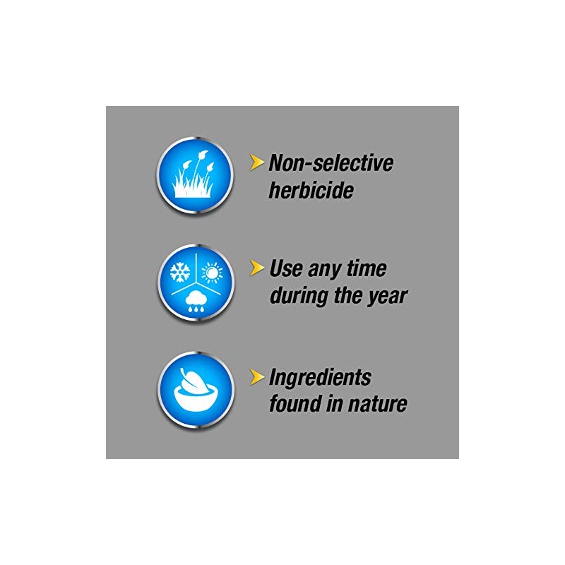 Pulverize Weed and Grass Killer, All Natural, Fast Acting, Non-Staining,