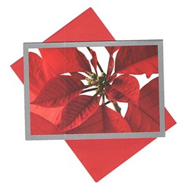 Embellished Classic Christmas Card 9 Pack ~ Wishing You Joy (5" x 7"; Red Envelopes)