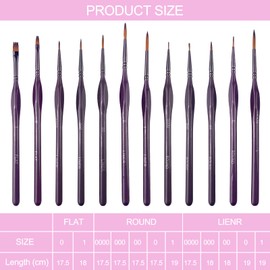 Chiluxendo 12 Pieces Fine Brushes, Miniature Brush, Brush Set Fine, Model Building Detail Brush, Miniature Brush, Fine Detail Brush Set, Detail Brush Set for Watercolour Miniatures, Line Drawing