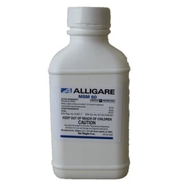 Alligare MSM 60 DF - 8oz