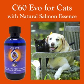 C60 EVO for Cats - Organic Olive Oil, Pure C60 ESS60 & Natural Salmon Essence to support your Cats’ Flexibility, Energy and Immunity - 3 oz
