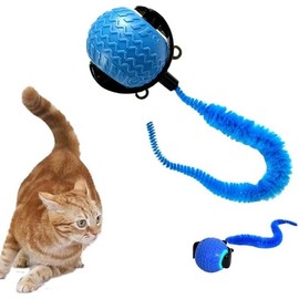 JIGCEN Interactive Cat Ball Toy, Smart Toys Ball for Indoor Cats, Speedy Tail 2.0 Cat Toy(Blue)