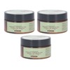 3pcs Tanning Lotion Accelerator Moisturizing Sunless for Bronze Brown Skin