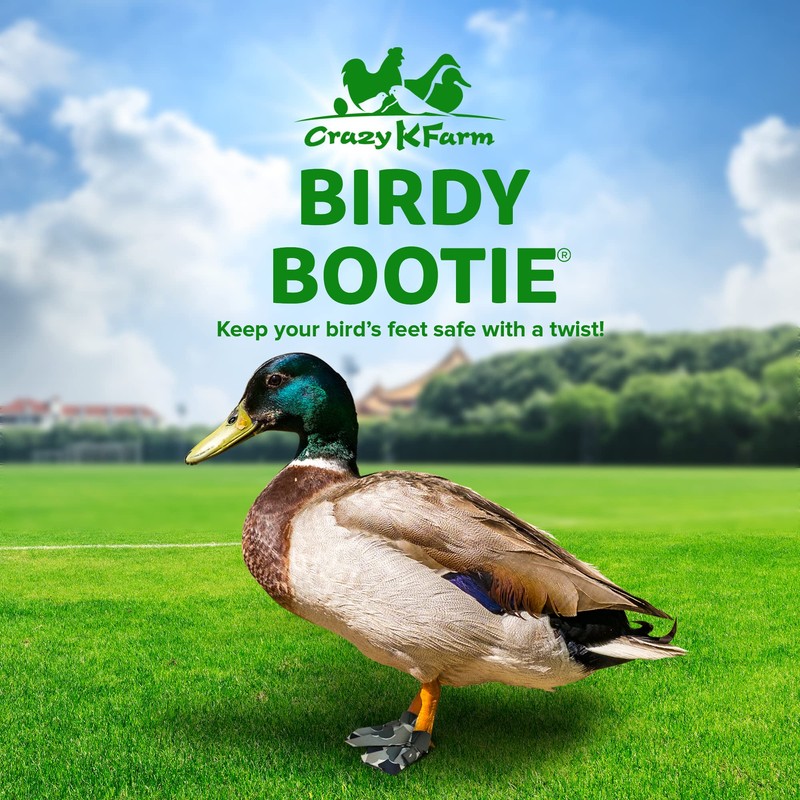 Birdy Bootie Duck Shoes for Injured Feet – Protective Neoprene