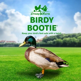 Birdy Bootie Duck Shoes for Injured Feet – Protective Neoprene Footwear for Ducks, Protective Shoes for Birds with Injured feet, Bumblefoot Relief - Medium, 3.5” Max. Inside Width - Gray Camouflage