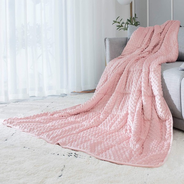 ALANSMA ALANSMA Reversible Weighted Blanket for All Season, Luxury Velvet,