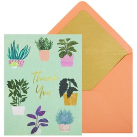 NIQUEA.D Boxed Note Cards, Houseplants, Includes a Blank Customizable Interior and Coordinating Envelope, Set of 10 (NBB-0019)
