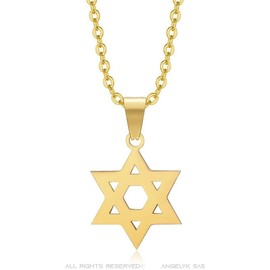 BOBIJOO JEWELRY - Pendant Necklace Woman Star Shield of David 14 mm Stainless Steel 316L Gold-Plated Gold-Plated Chain End Discreet, Stainless Steel
