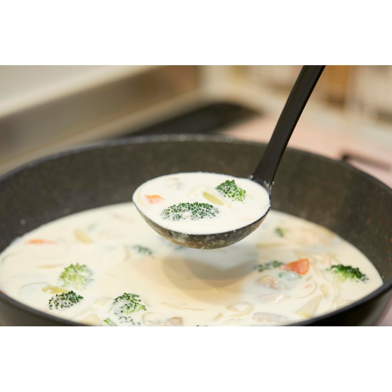 Asahi Electric Kasei Ladle Nylon Heat Resistant Dishwasher Safe with