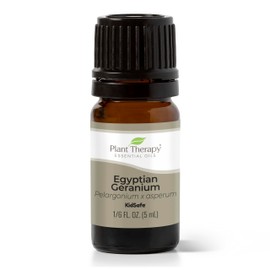 Plant Therapy Egyptian Geranium Essential Oil 100% Pure, Undiluted, Natural Aromatherapy, Therapeutic Grade 5 mL (1/6 oz)