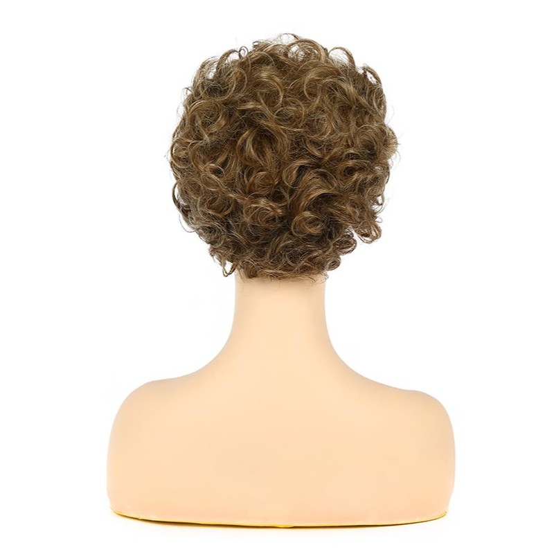 Womens Blonde Brown Short Fluffy Curly Wig for Daily Party