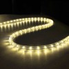 50ft Warm White LED Rope Light StringsWarehouse: LA01