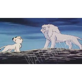 Kimba the white lion  father Leo High Quality Metal Magnet 2.25 x 4 inches 8940