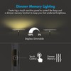 Tenergy Modern Torchiere Floor Lamp, 3000L LED, 30W, Remote Control,